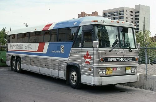 Greyhound Reference